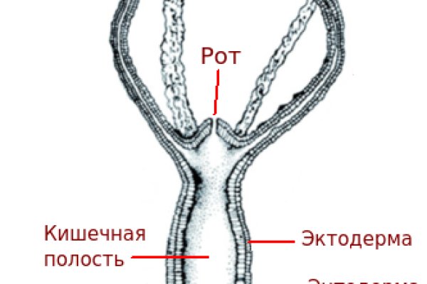 Kra36.at