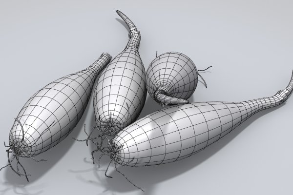 Kraken istand onion