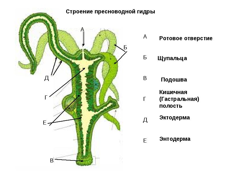 Взломанный аккаунт кракен